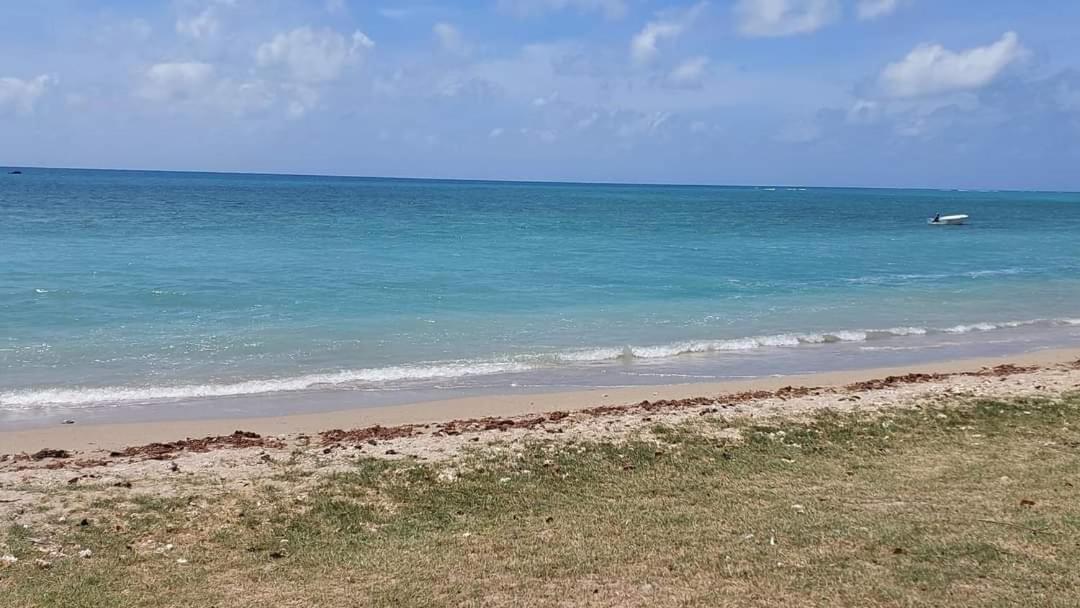 Ohana Guest House Port Mathurin Esterno foto